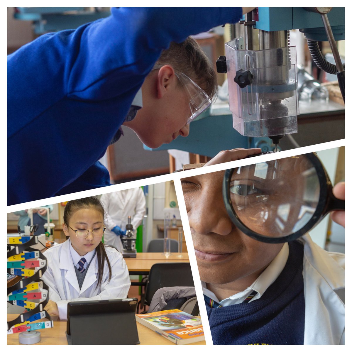 Lorraine Kearney (LorraineKearne3) Twitter