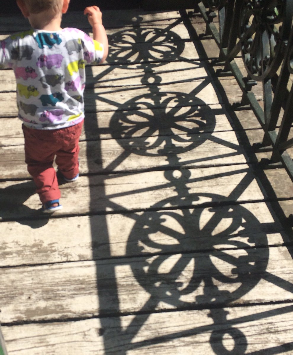 TillyStitches's tweet photo. As much as I can with this one #lincolnarboretum https://t.co/vt1z6M0u1x