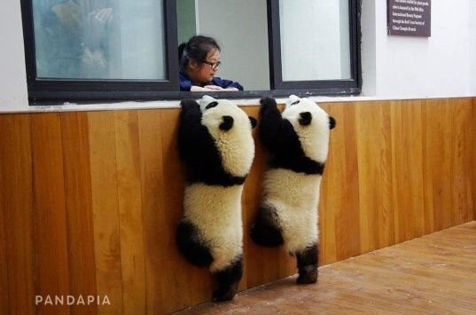 9GAG's tweet photo. 2 tickets please https://t.co/1l8i7IFAtq