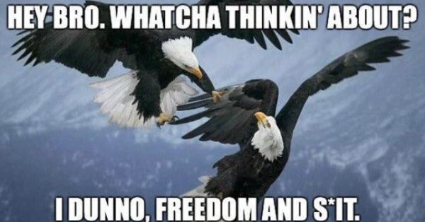 bjthorne7's tweet image. thechive.com/2018/07/03/4th…