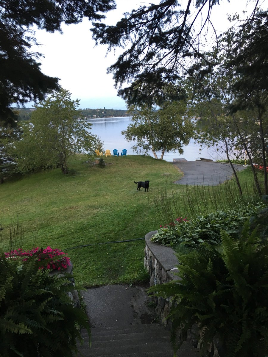 brianvendramin's tweet photo. Of course, MAX, let's get this Wednesday started.
I will meet you at the lakeshore in a few minutes.
#SudburyMorning #LakeLiving #BlackLab #OneMorePicture https://t.co/gw2eZBxwFG