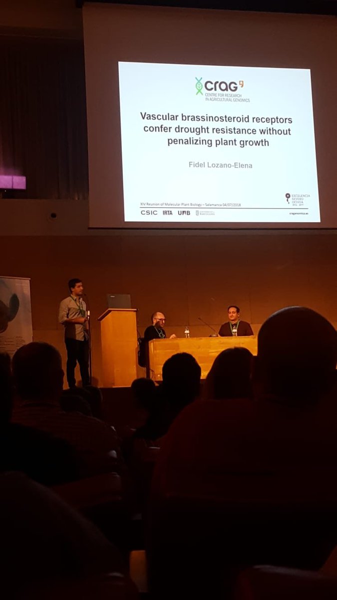 Ana_CanoDelgado's tweet photo. The most rewarding thing of being a Researcher is seeing your people growing! #lovemystudents #proud of you @LozanoElena_F #drought @tair. @CRAGENOMICA #Salamanca #spanishresearch #plantscience https://t.co/ewPU96cI0f