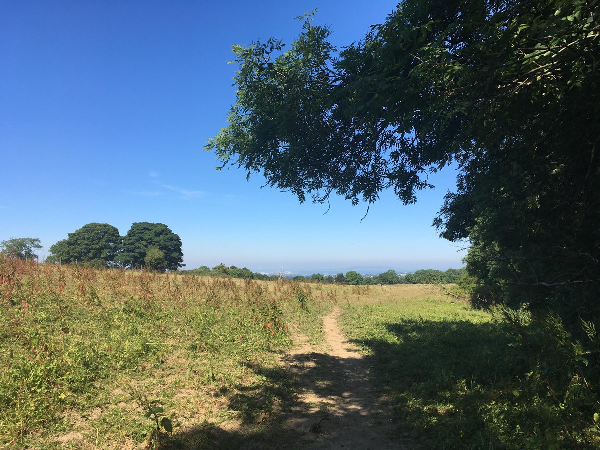 Savethehellfire On Twitter Waiting To Use The Word Petrichor The Wonderful Smell Emitted From Dry Earth After The First Rain Fall It Is Defined As The Distinctive Scent Which Accompanies The First