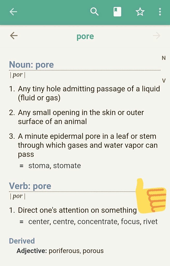 Write my best descriptive essay on donald trump 03 image