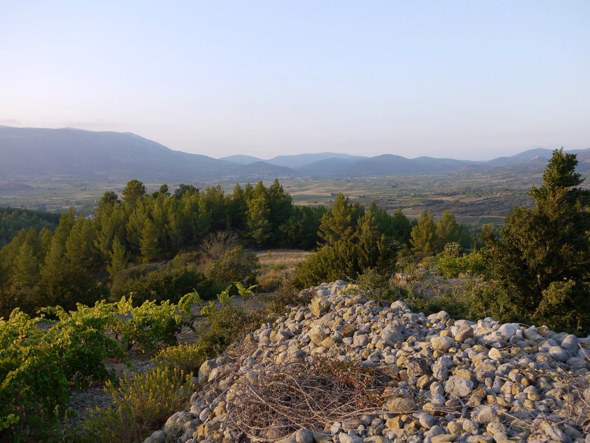 We can’t wait to get our hands on gems from <a href="/domainejones/">* Katie Jones *</a> – these wines represent the very best of what can be produced in the #Languedoc ow.ly/6cLY30kuD25