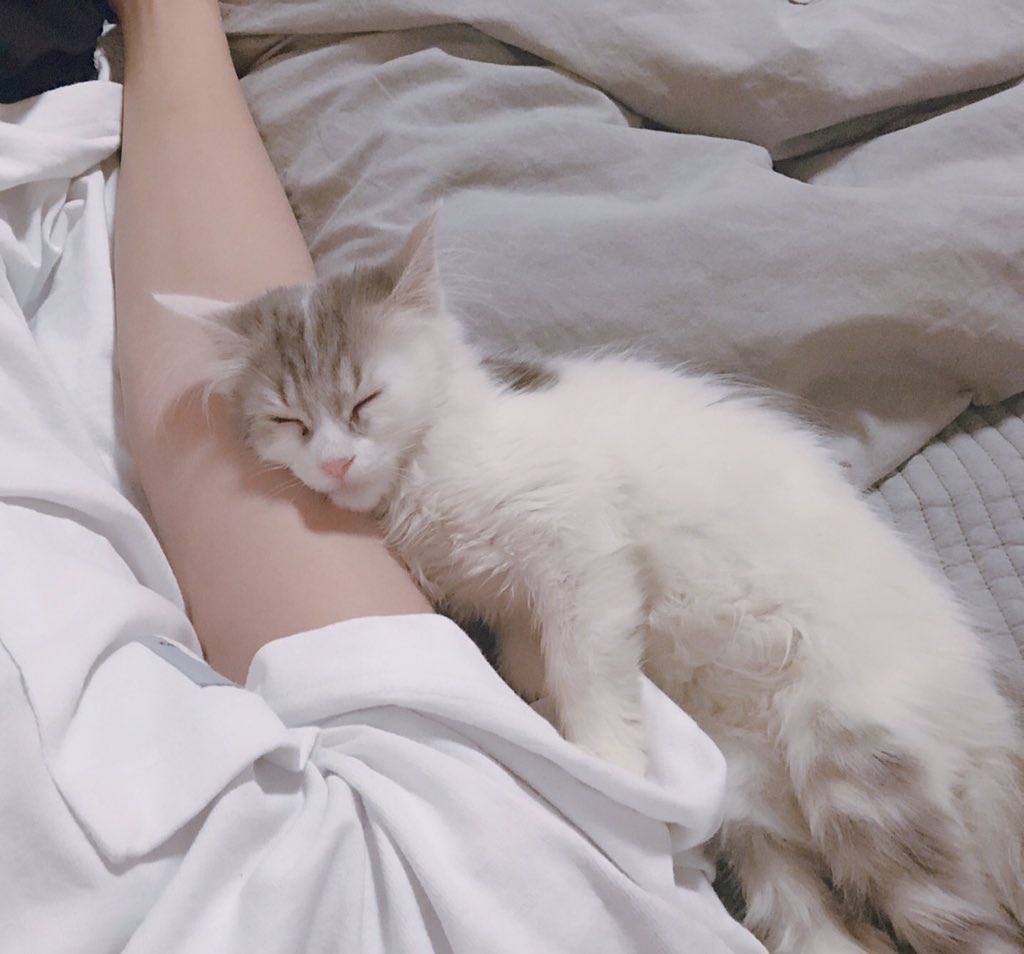 ไจ๋ไจ๋ 🐈 tweet media
