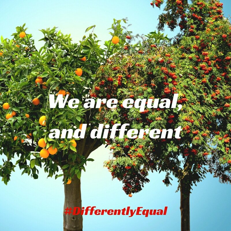 tswproject's tweet photo. As many similarities as there are between male and female, the self-evident truth is that there are key differences. Those differences make the world a richer place. Understanding those differences make a #HealthyRelationship possible.
#DifferentlyEqual https://t.co/aoJIBEqlaE