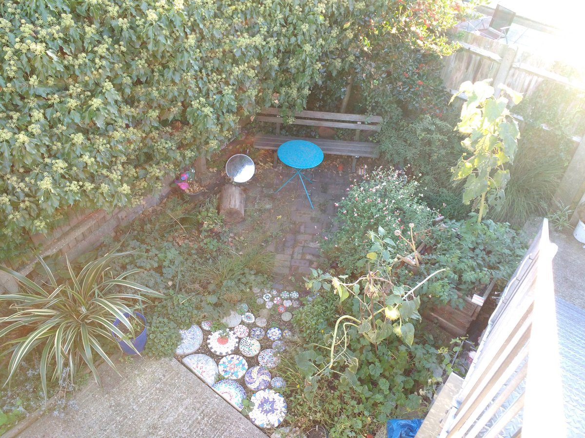 The Mill E17 (@themille17) on Twitter photo Could your green fingers help us out?! We're looking for a Gardening Team Leader to help coordinate our Garden Volunteers and manage the wonderful Mill secret garden. More details here:
themille17.org/get-involved/v…
<a href="/comwforest/">Waltham Forest</a> <a href="/CultivateWF/">Cultivate WF</a> #Walthamstow #E17 Could your green fingers help us out?! We're looking for a Gardening Team Leader to help coordinate our Garden Volunteers and manage the wonderful Mill secret garden. More details here:
themille17.org/get-involved/v…
<a href="/comwforest/">Waltham Forest</a> <a href="/CultivateWF/">Cultivate WF</a> #Walthamstow #E17