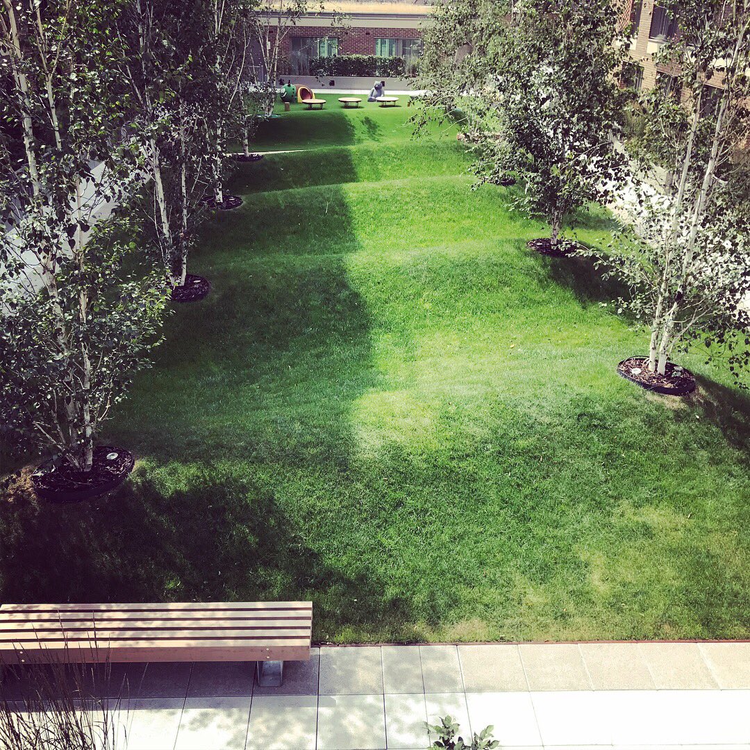 BD_landscape's tweet image. we are really delighted with the completed #podium #landscape at the @oldvinylfactory #materialstore for @HubResiLondon some brilliant #resi #amenityspaces @NewgroundArch #justaddpeople