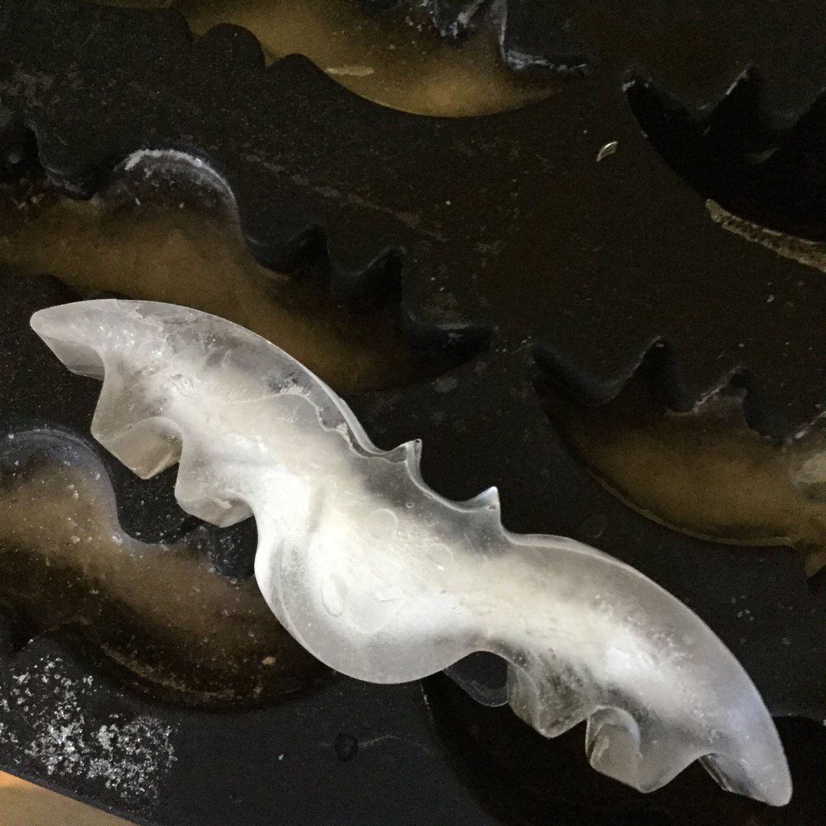 lonelyaesthetic's tweet photo. Had to come home from work early because I hurt my knee. Have made bat ice cubes to cheer myself up. ๐ฆ #kneetweet https://t.co/TfgS8cfeFl