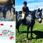 Photo by Horse First Winners (@horsefirst)