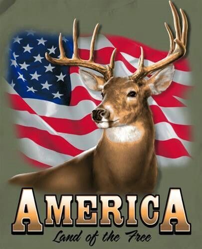 curlylox5's tweet photo. 🇺🇸🇺🇸Happy Fourth of July to all you Tweeps🇺🇸🇺🇸 Enjoy the day and stay safe 💞🇺🇸😎🚤😍🇺🇸💗 https://t.co/XGImmJVZLa