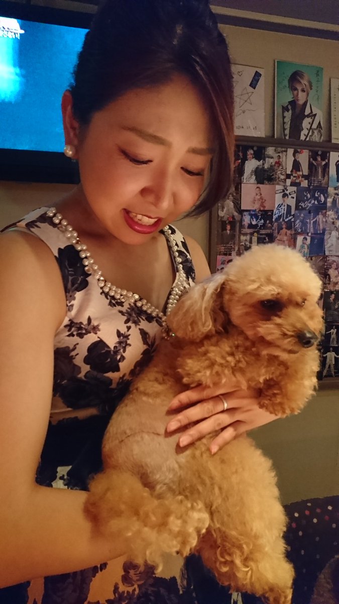 saikonoheya's tweet photo. 脱臼した愛花がお店に帰ってきました❤️
愛花～お帰りなさい❤️
#脱臼 https://t.co/eFDf3956Al