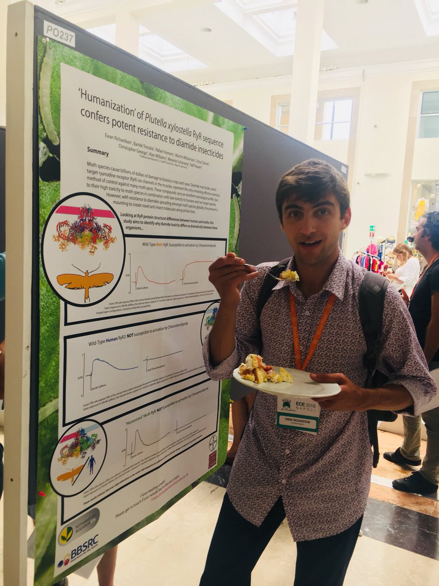 RresStudents's tweet photo. #ECE2018 update ... Ewan likes cake. AND has a great poster! Come and ask him about diamide resistance in #plutella @Rothamsted @naples @RothamstedOnTour #PhDLife https://t.co/ImeGsoVMPF