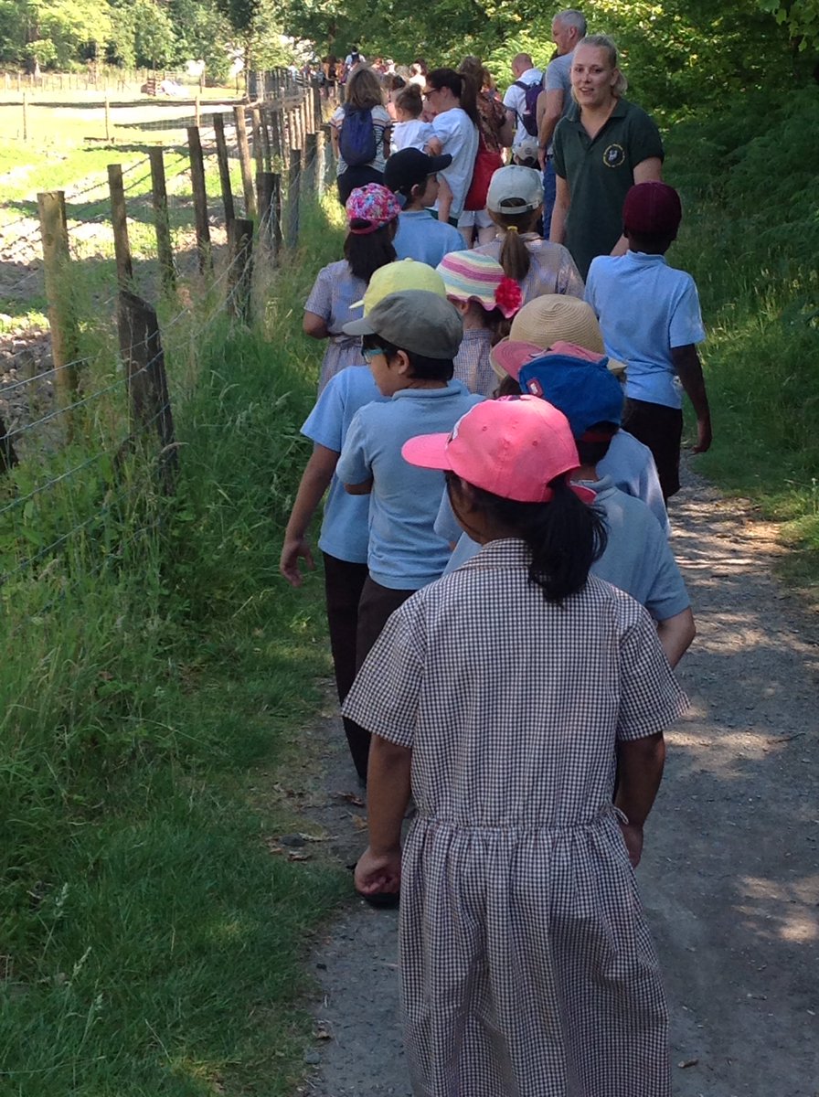 Year 1 would like to thank the Bowland Wild Boar Park for having us yesterday! We had heaps of fun. <a href="/bowlandwildlife/">bowlandwildprotector</a> #wildboarpark #bowland