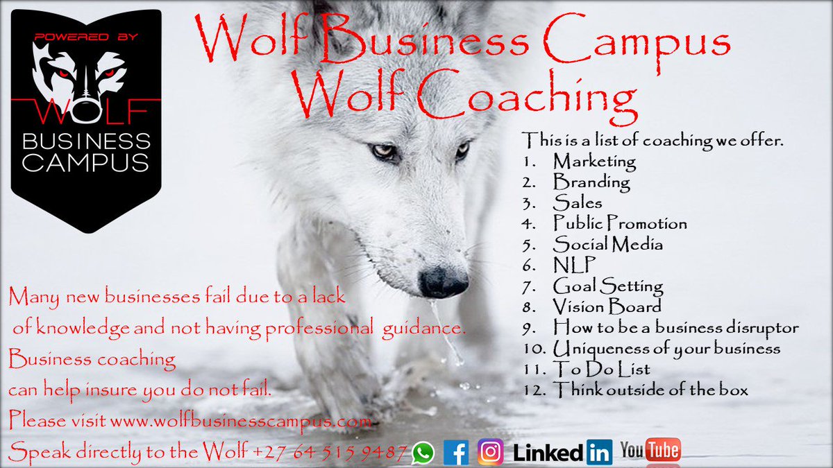 dancarsonwolf's tweet image. This is the Wolf Business Campus coaching packages we offer.
With experts we have recruited around the globe, they are always ready to help you in the areas where most entrepreneurs get stuck.
wolfbusinesscampus.com