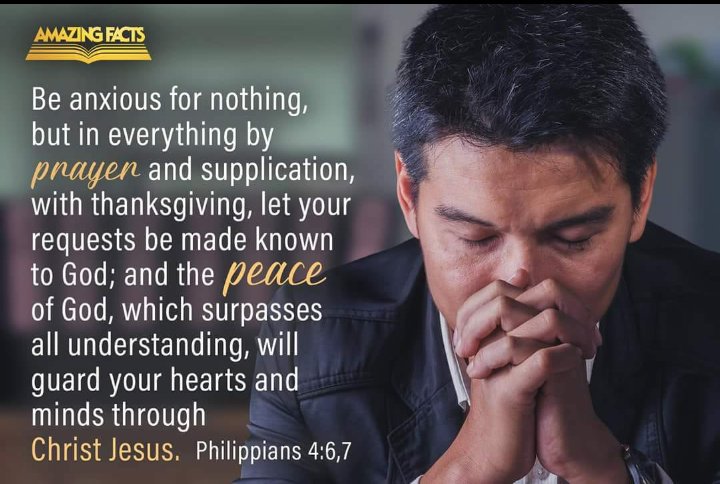 Eva Morales tweet media