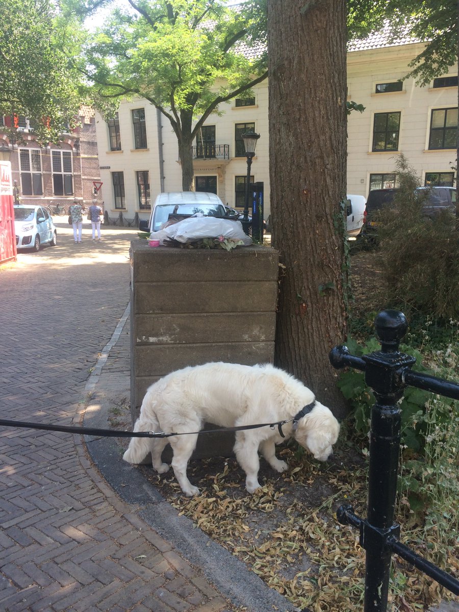 D_aphne's tweet photo. @GemeenteGouda @Cyclus_NV Is nu 9 dagen geleden dat ik aangaf dat de bak overvol zit en tot op heden is de groenbak nog niet geleegd. Kan hier wat aan gedaan worden? #gouda https://t.co/WxOgSgSKYR