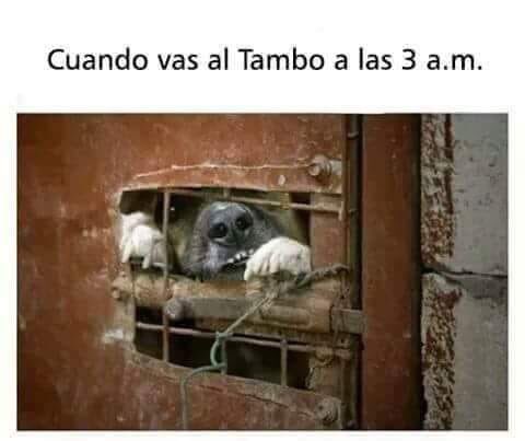 A_le234's tweet image. BUEEENAAAAAAAAS JOVEEEEEEEN