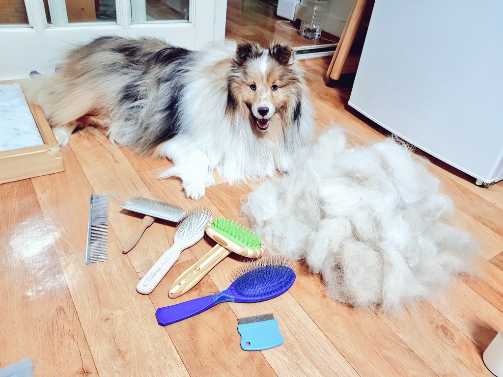 선생님 드시는게 다 털로만 가시나봐요...🤔