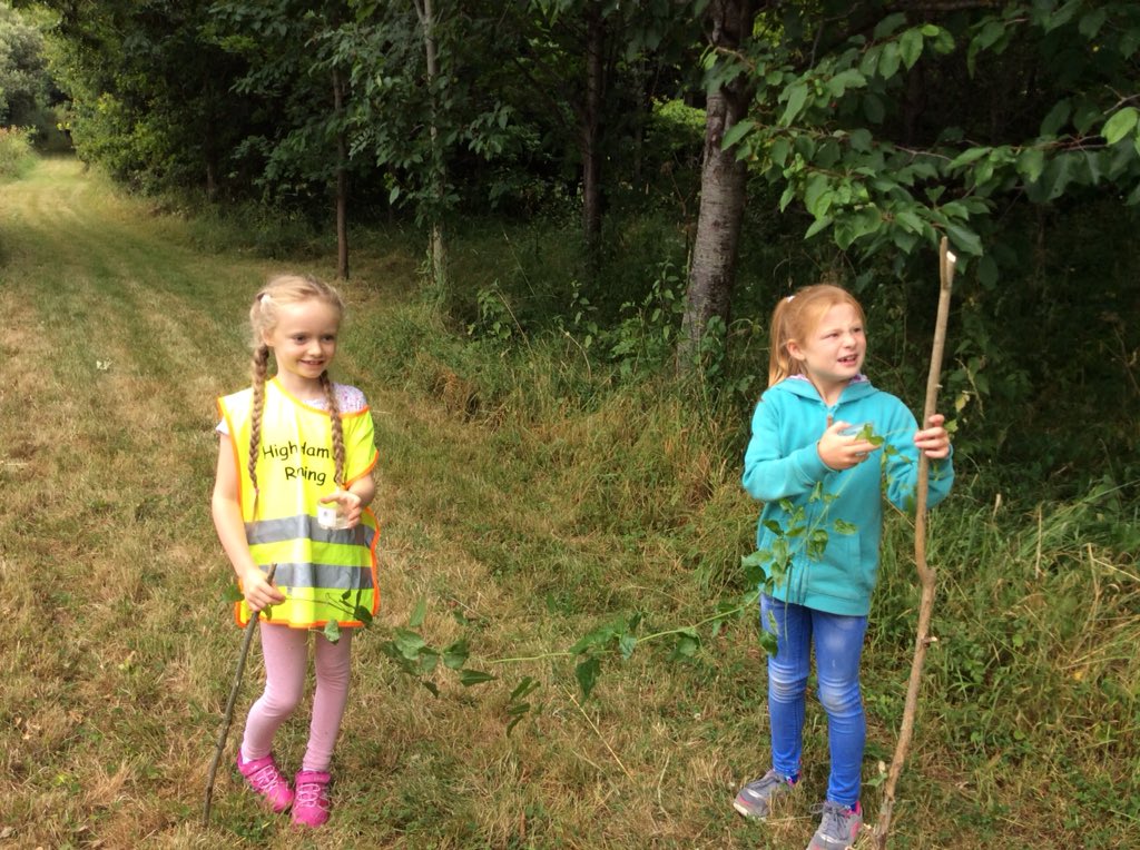 Year_3_HighHam's tweet photo. Year 3/4s are having so much fun in the woods this morning! https://t.co/rgPyqY8Pli