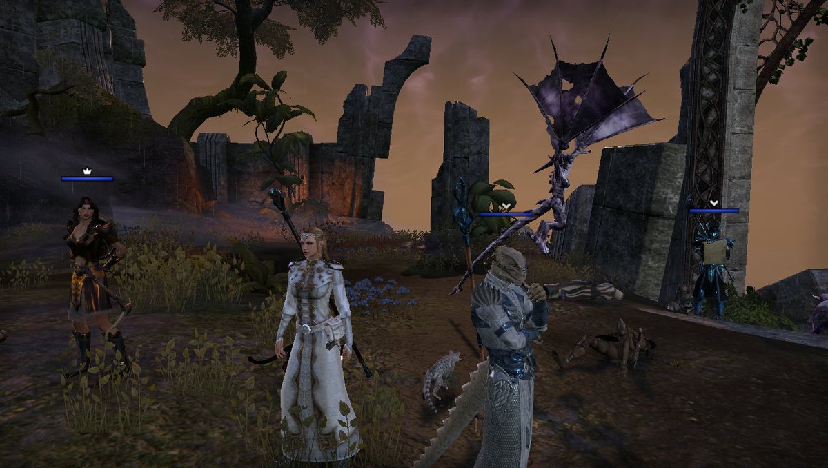 KittenFerocious's tweet photo. Had great fun dungeon running last night with @WerksGame, @Saydices & @sajalrox12 - let's do that again sometime! #ESO #ElderScrollsOnline #TESOnline #playingwithfriends #dungeonruns #GamingLife https://t.co/6nqSsB2KDp