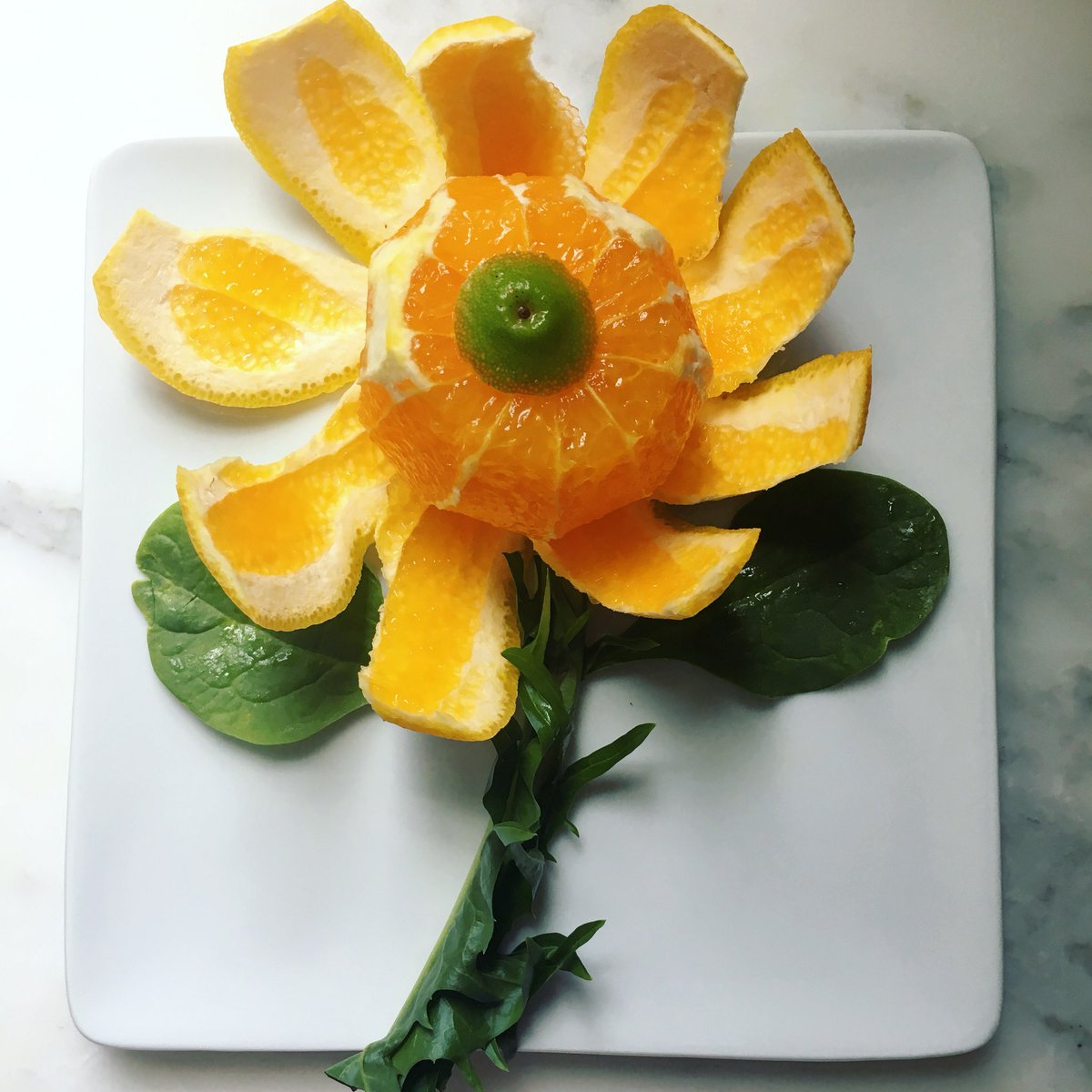 Wishing everyone a day filled with joy, fruit and loved ones!🧡 #freedomforall