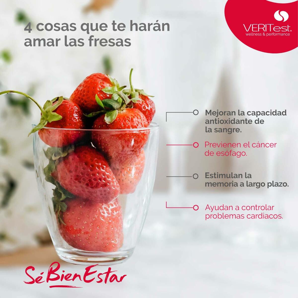 Mejora tu salud evitando los alimentos a los que presentas sensibilidad, realízate la Prueba VERITest, conoce todo sobre la prueba en bit.ly/2Ksf4WE  
Agenda tu cita al (55) 52023232