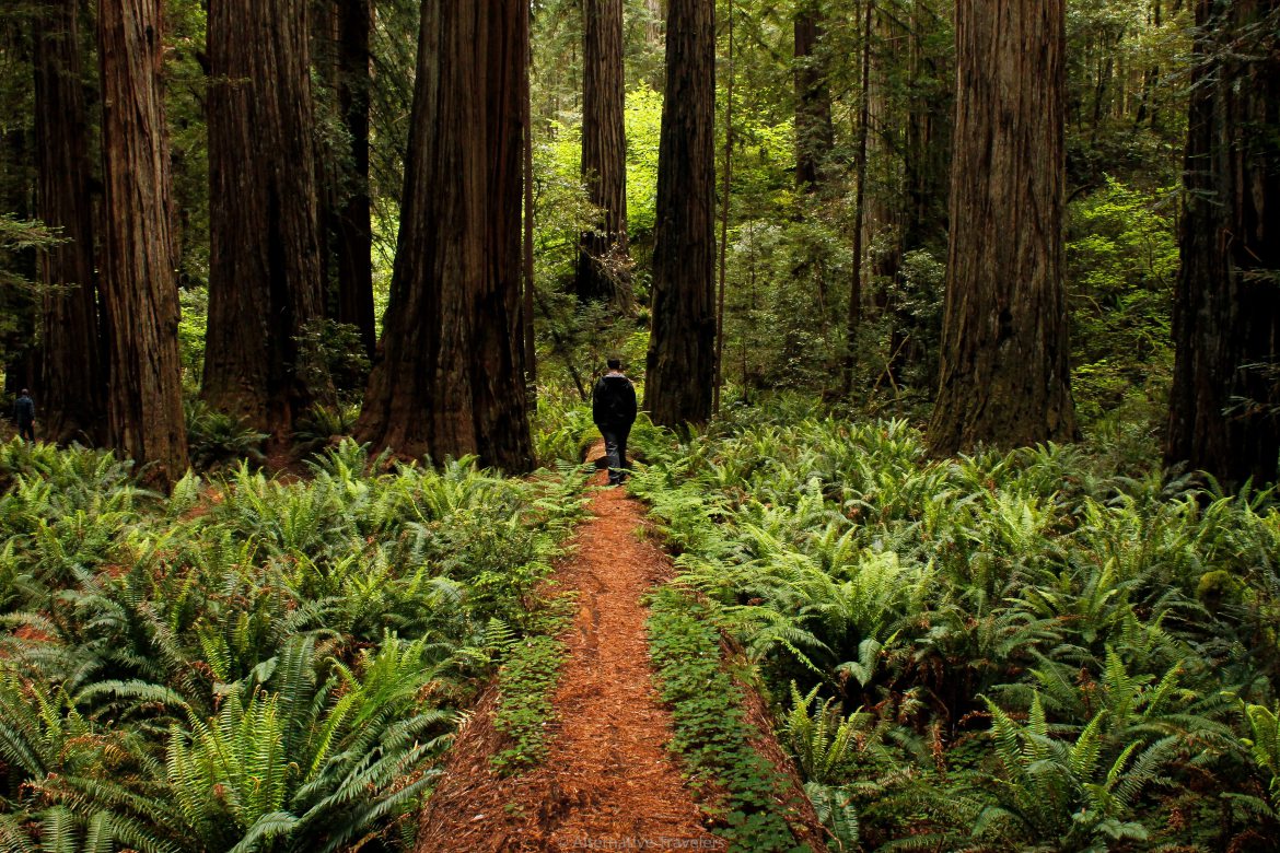 One Easy Way to Reduce Your Environmental Impact Now  buff.ly/2J0cbvY

► <a href="/alttravelers/">Sam Anthony Ⓥ</a> #rttc #responsibiletravel