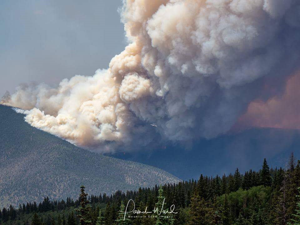 We at Sangre AgroTech have been affected by the devastating Spring Fire in So. Colorado, having been evacuated from our homes. Office &amp; lab in La Veta is safe tho &amp; our genomics work continues. THANK YOU TO ALL FIREFIGHTERS FIGHTING THIS FIRE! We owe you everything!! #SpringFire