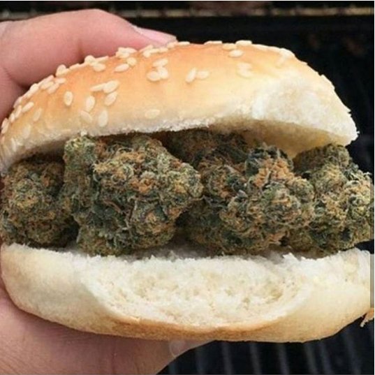 marijuana burger