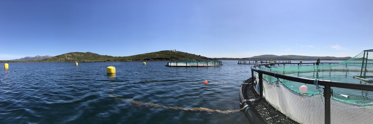 Tbalt_'s tweet photo. Two day of intensive #sampling on the pilot #imta site. Ranging from #water quality , #valeport deployment and sediment traps. Great weather conditions to sample part of @tapas_h2020 and @MarineInst collaboration. https://t.co/DVL1ZnQwwN
