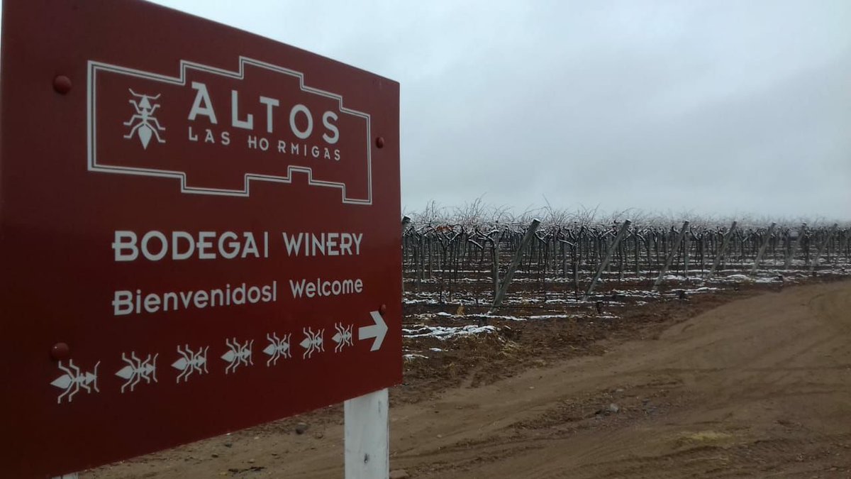 ALHmalbec's tweet photo. En el día más frío del año en #Mendoza, la #nieve llegó a nuestra finca en Luján de Cuyo! 
❄️☃️
On the coldest day of the year in #Mendoza, #snow has covered our Lujan de Cuyo estate! https://t.co/hGDK0ErRW0