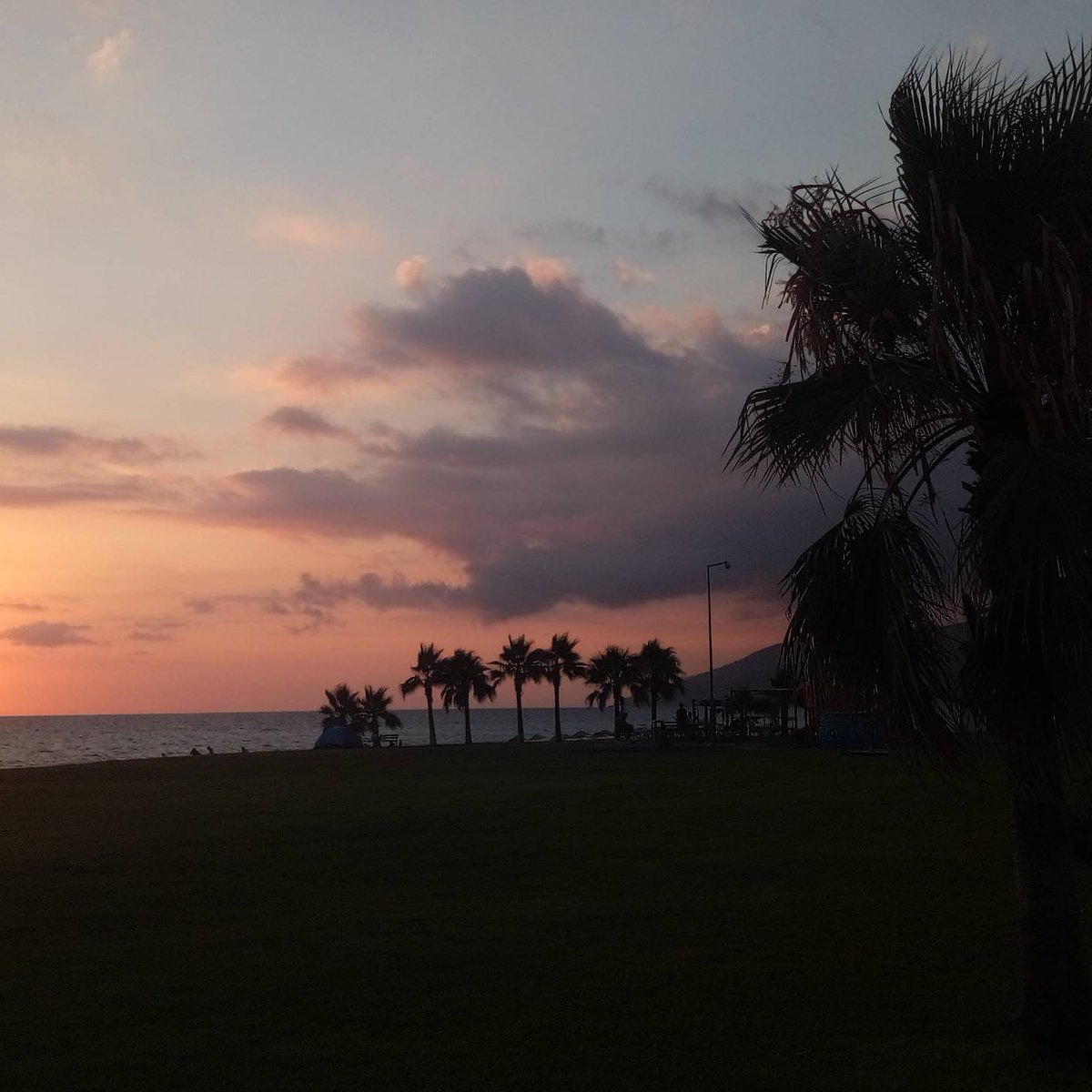goicii's tweet photo. #photo #gazipaşa #nature https://t.co/lVHu2aXngU