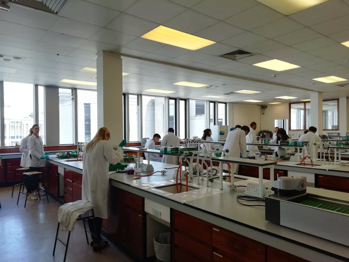 Essex SynBio tweet media