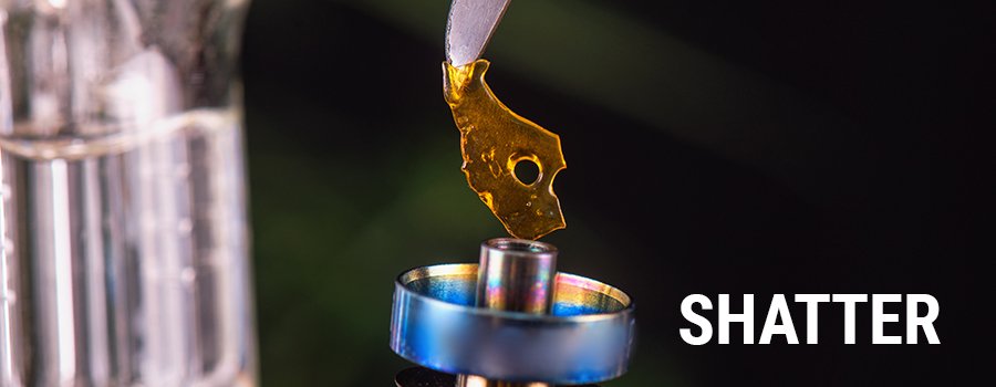 Shatter and wax are terms used to describe two types of cannabis extracts. Both are highly concentrated, containing up to 90% THC or CBD. Read along to find out more about shatter and wax.  bit.ly/ShatterANDWax