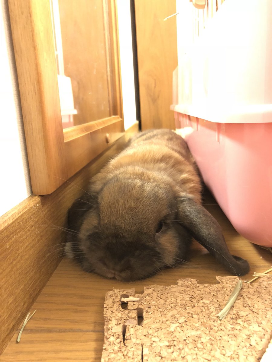 業界初の薄さ！