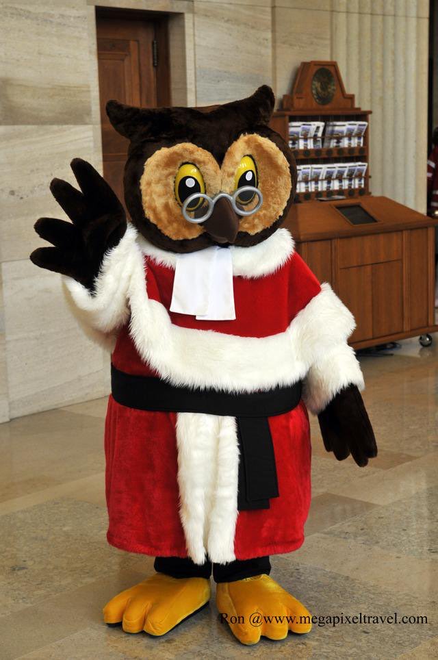 robinson_spider's tweet image. The Supreme Court of Canada has a mascot. Amicus the owl. He looks like a hoot. #notjudging