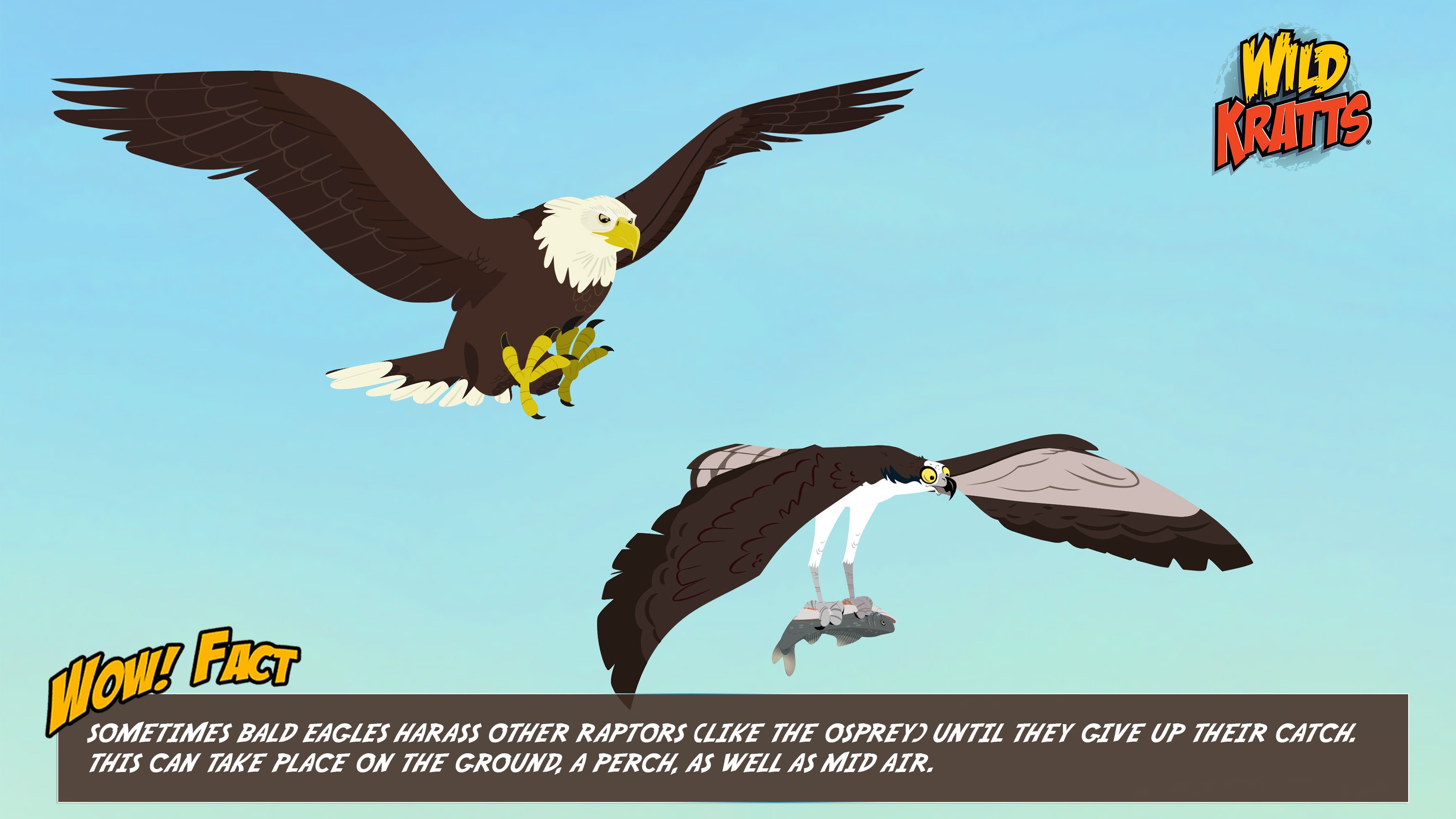 Wild Kratts The Fourth Bald Eagle Season Episode 14 PBS | atelier-yuwa