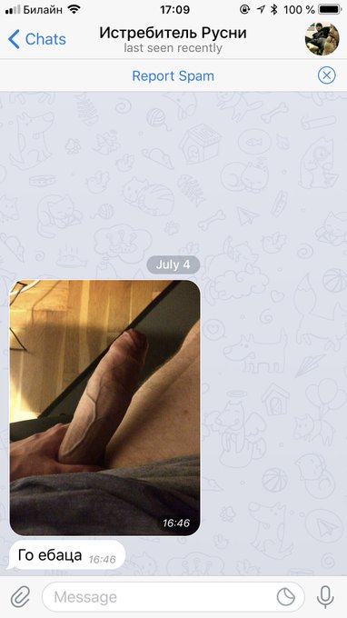 Знает как заинтересовать даму, подлец https://t.co/1GcVE87H1H<a href="/tag/groobygirl"class="tags"><span>#groobygirl</span></a>