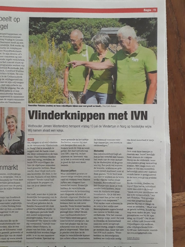 Wethouder Jeroen Westendorp heropent vr. 13 juli vlindertuin in Norg. De tuin wordt onderhouden door vrijwilligers van <a href="/ivn_norg/">IVN Norg</a>
Gemeente <a href="/Noordenveld/">Gemeente Noordenveld</a>