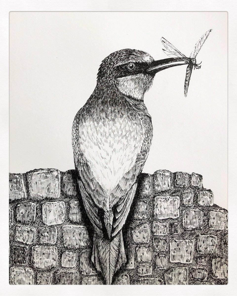 Tekening gemaakt. Het is een bijeneter.

Retweet is lief.