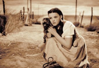 Tracy LeRoux, Founder Link Real Estate tweet media