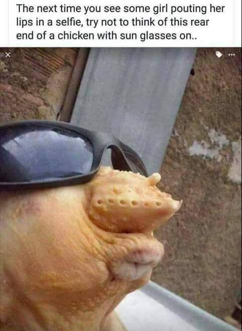 DerbertHerb's tweet photo. I took a selfie of me making duck lips. https://t.co/p3YB1GCx9N