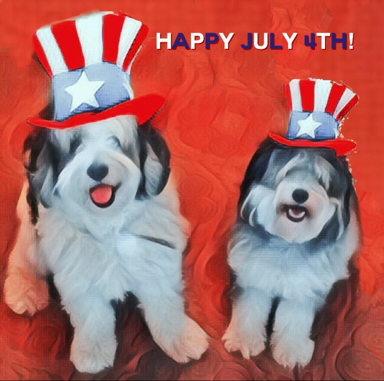 jondmaas's tweet image. #July4th #muttsoftwitter #AdoptDontShop