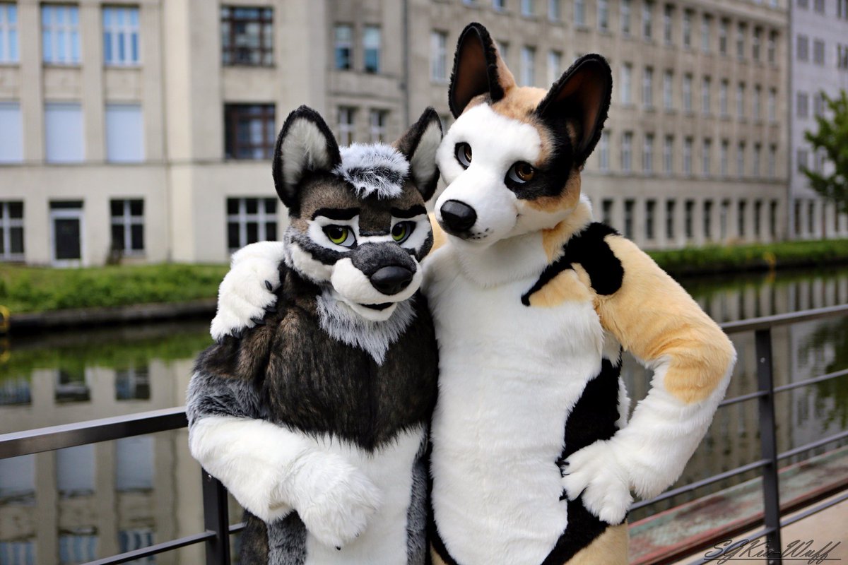 stefan_shepherd's tweet photo. Hmmm, @Ravusy is such a handsome wuff! n.n
#EF23 #EF2017
#OneFurAllWednesday
📸-Please tag, if you know their Twitter x.x https://t.co/U3gOwct4oI