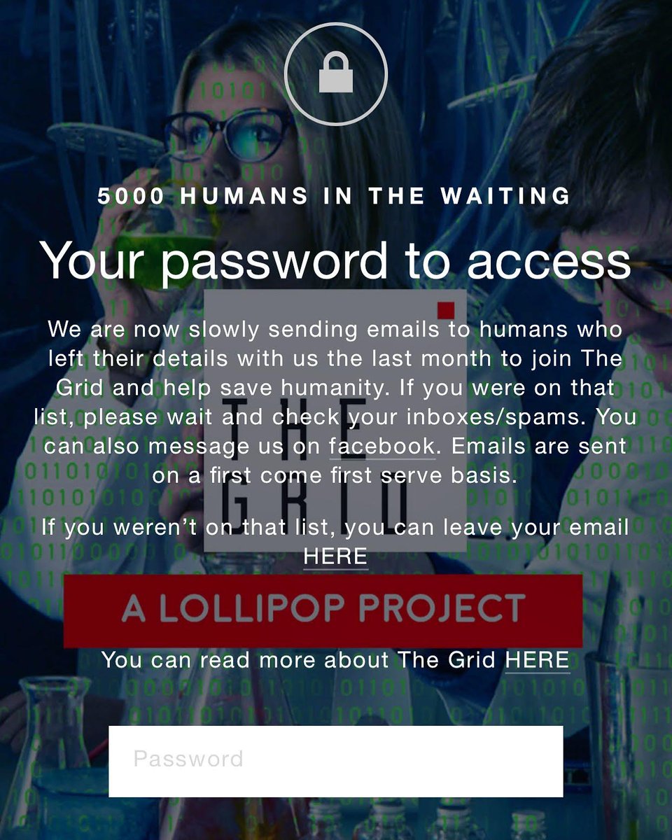 The Grid tweet media