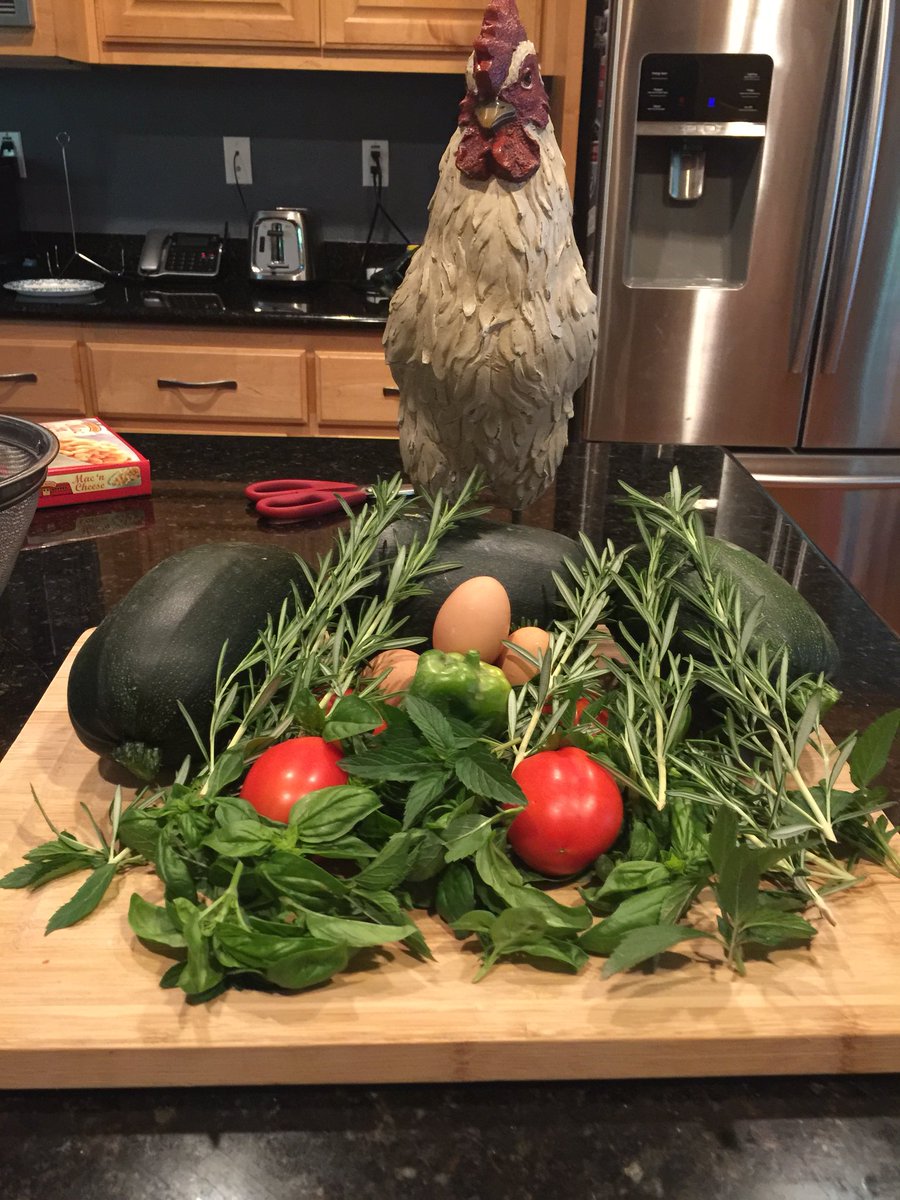 online hunter and hunted relationships