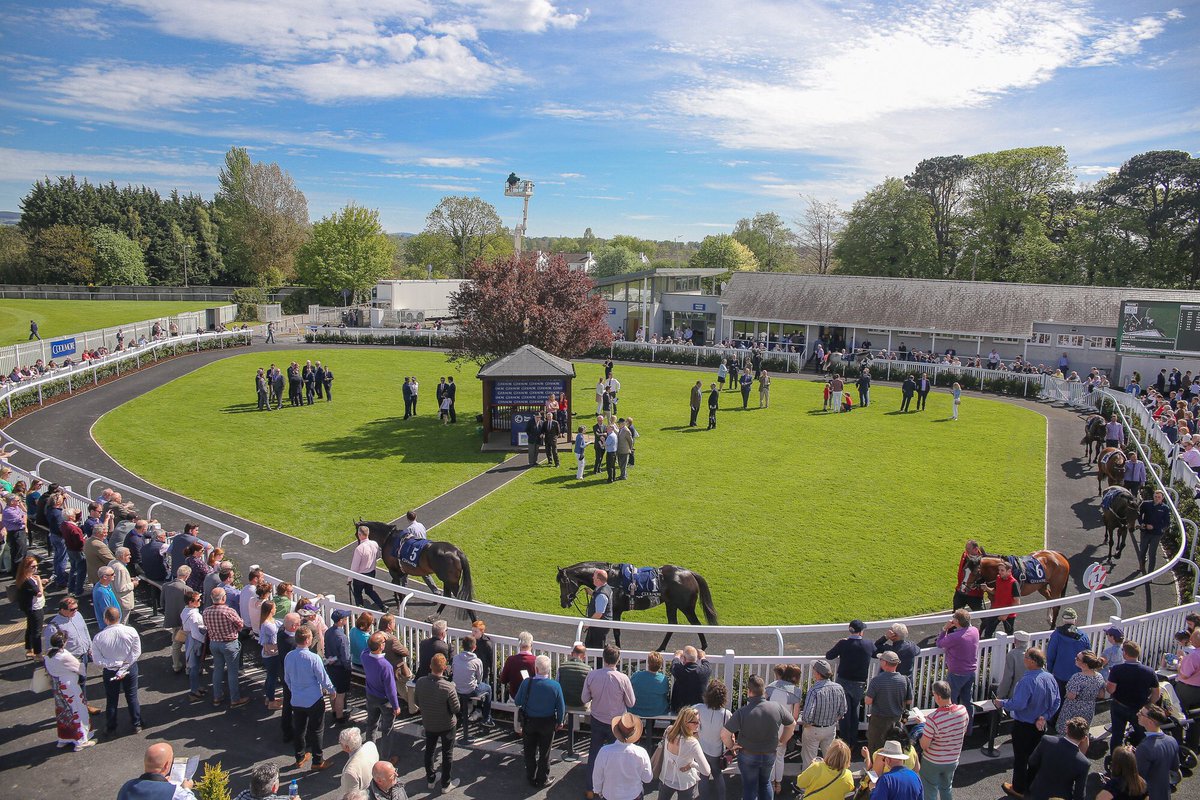 Naas Racecourse tweet media
