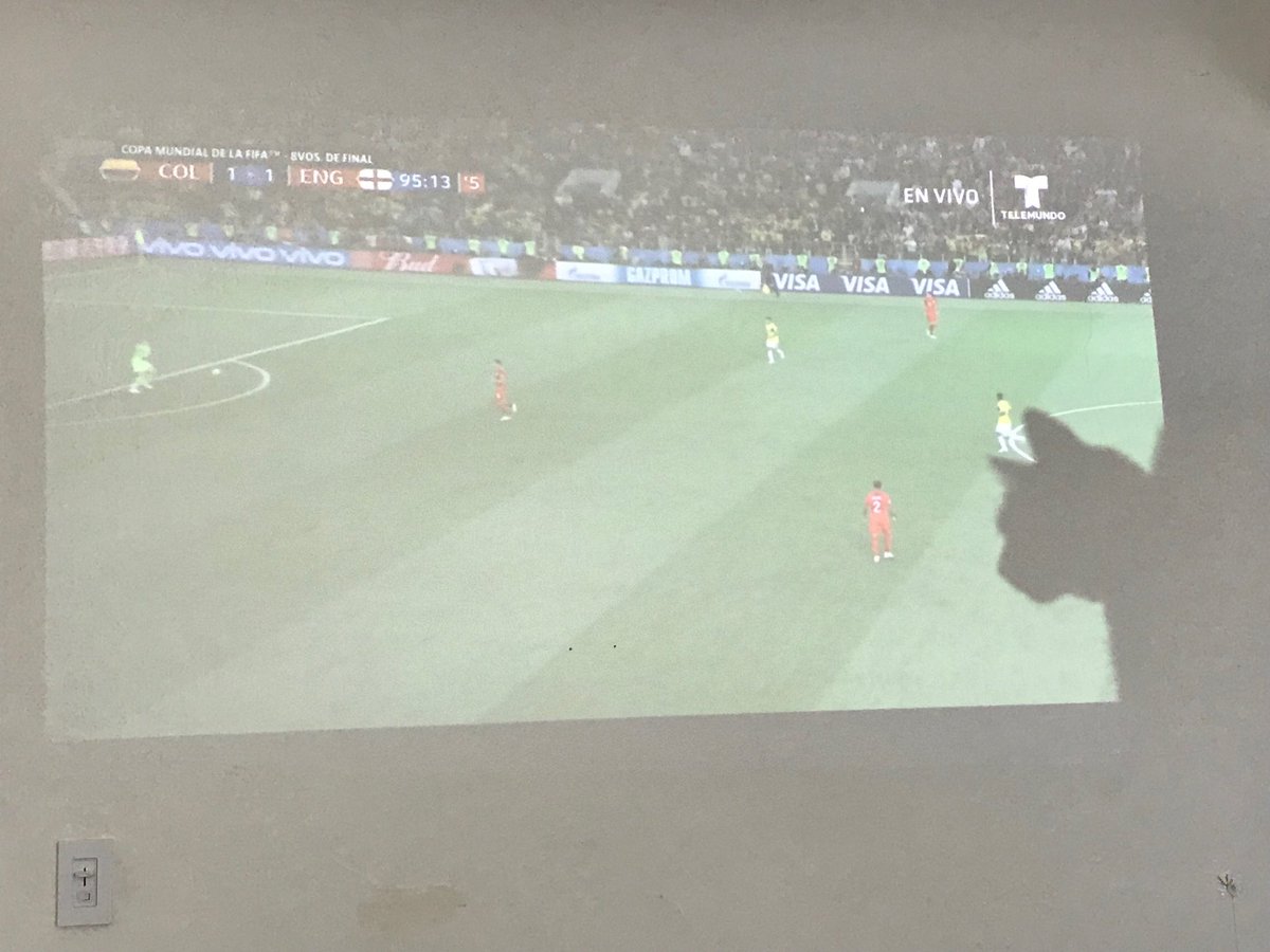 duranaca's tweet image. Even my cat #Nancy was trying to catch the bad referee #MarkGeiger during the match at ⁦@FIFAWorldCup⁩ #England vs ⁦@FCFSeleccionCol⁩  #Nancy loves to catch rodents